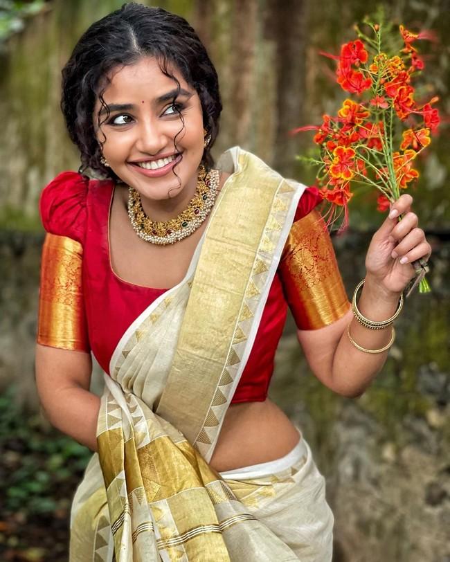 Anupama Parameswaran Pics 4