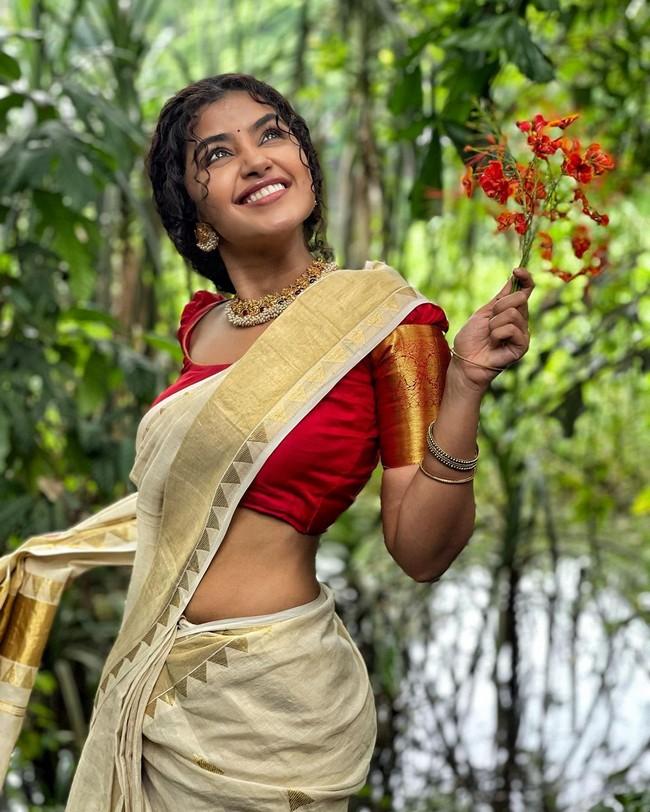 Anupama Parameswaran Pics 6