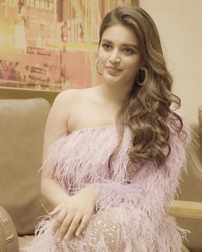 Nidhhi Agerwal 2