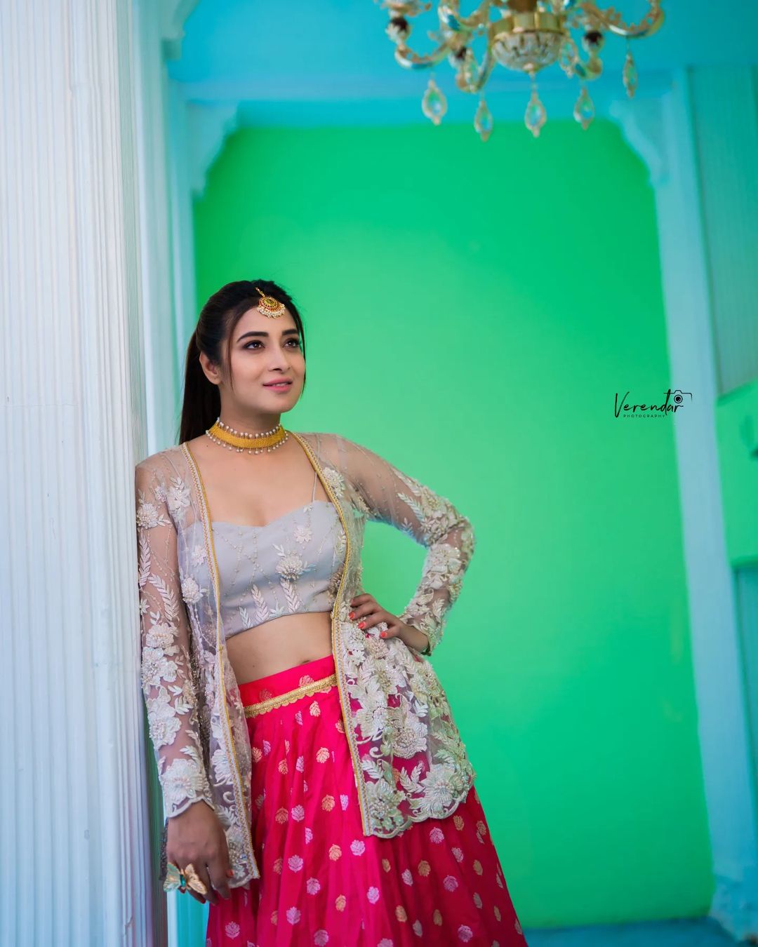 Bhanu shree (10)