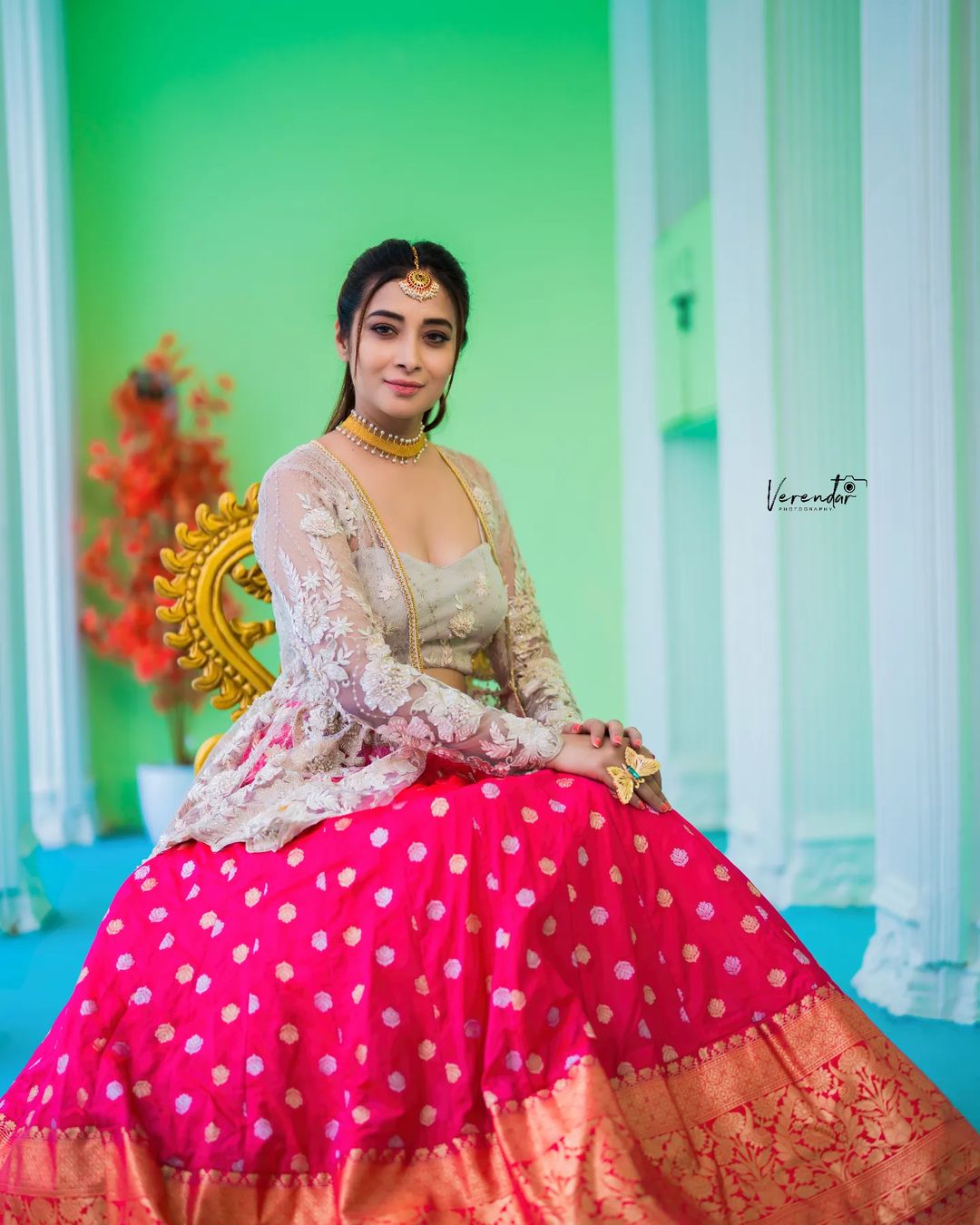 Bhanu shree (8)