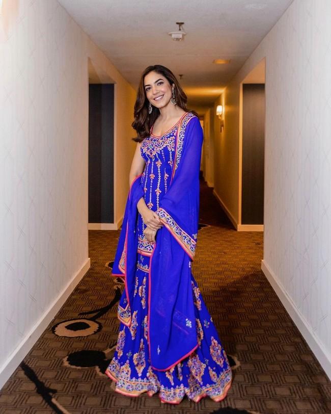 Ritu Varma 13