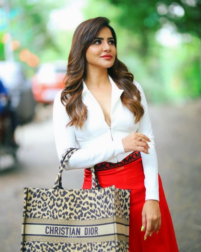 Ashu Reddy 8