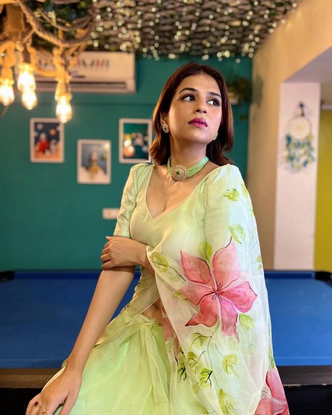 Shraddh Das 5