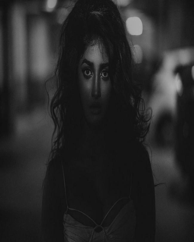 Dimple Hayathi 2
