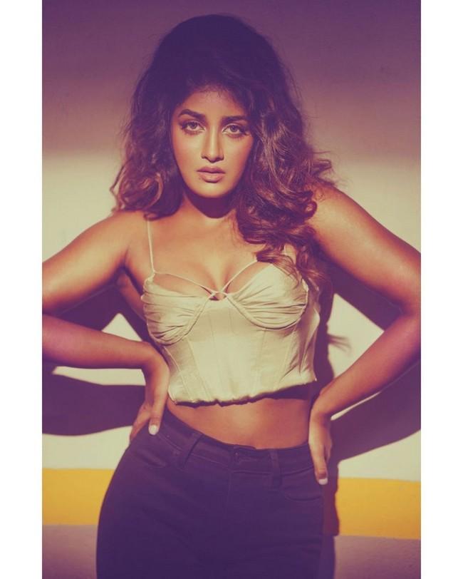 Dimple Hayathi 7