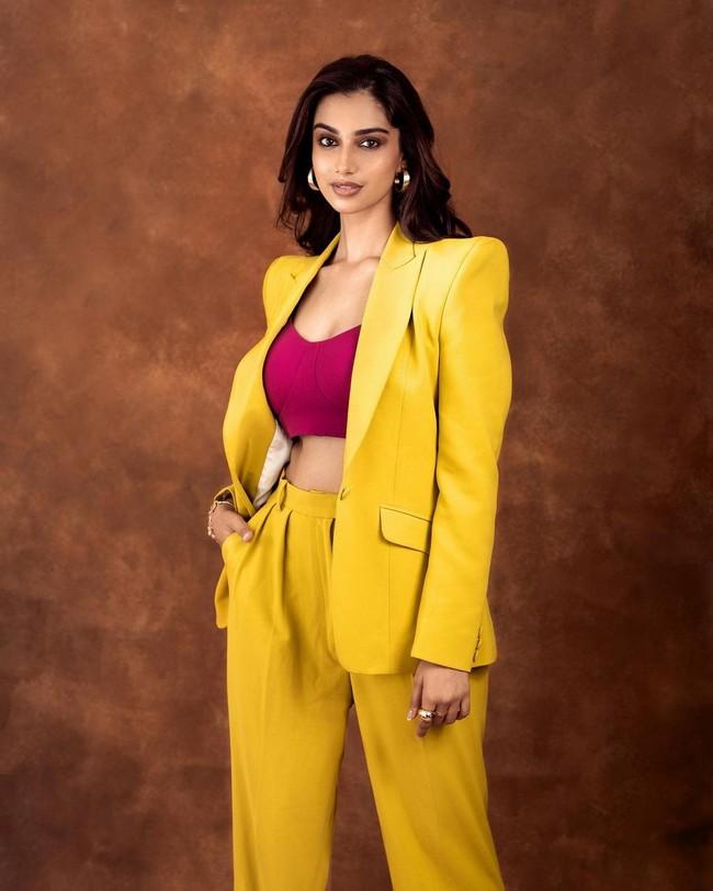 Meenakshii Chaudhary 2