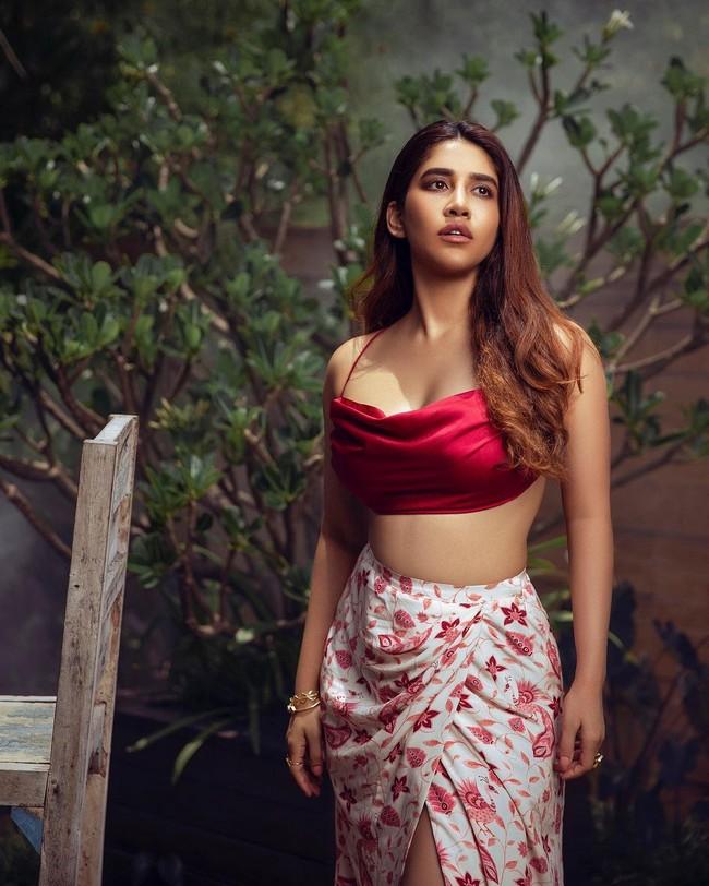 Nabha Natesh 3