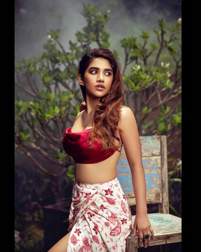Nabha Natesh 4