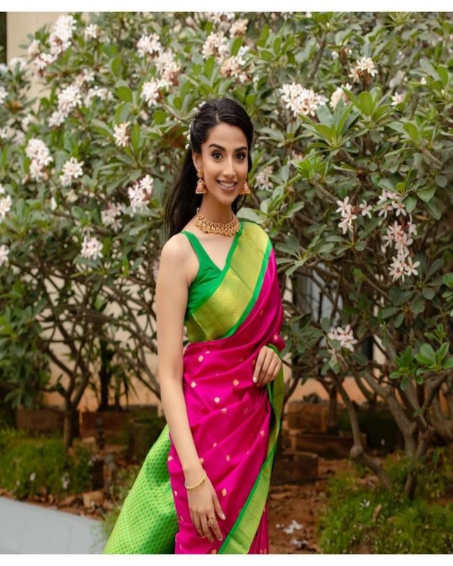 Meenakshii Chaudhary 7