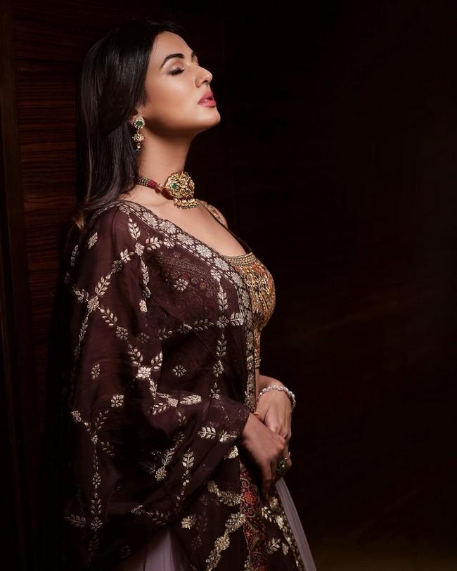 Sonal Chauhan 5