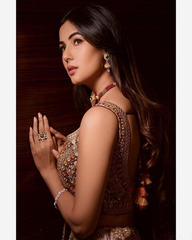 Sonal Chauhan 6