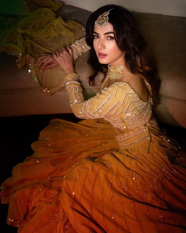 Sonal Chauhan 2
