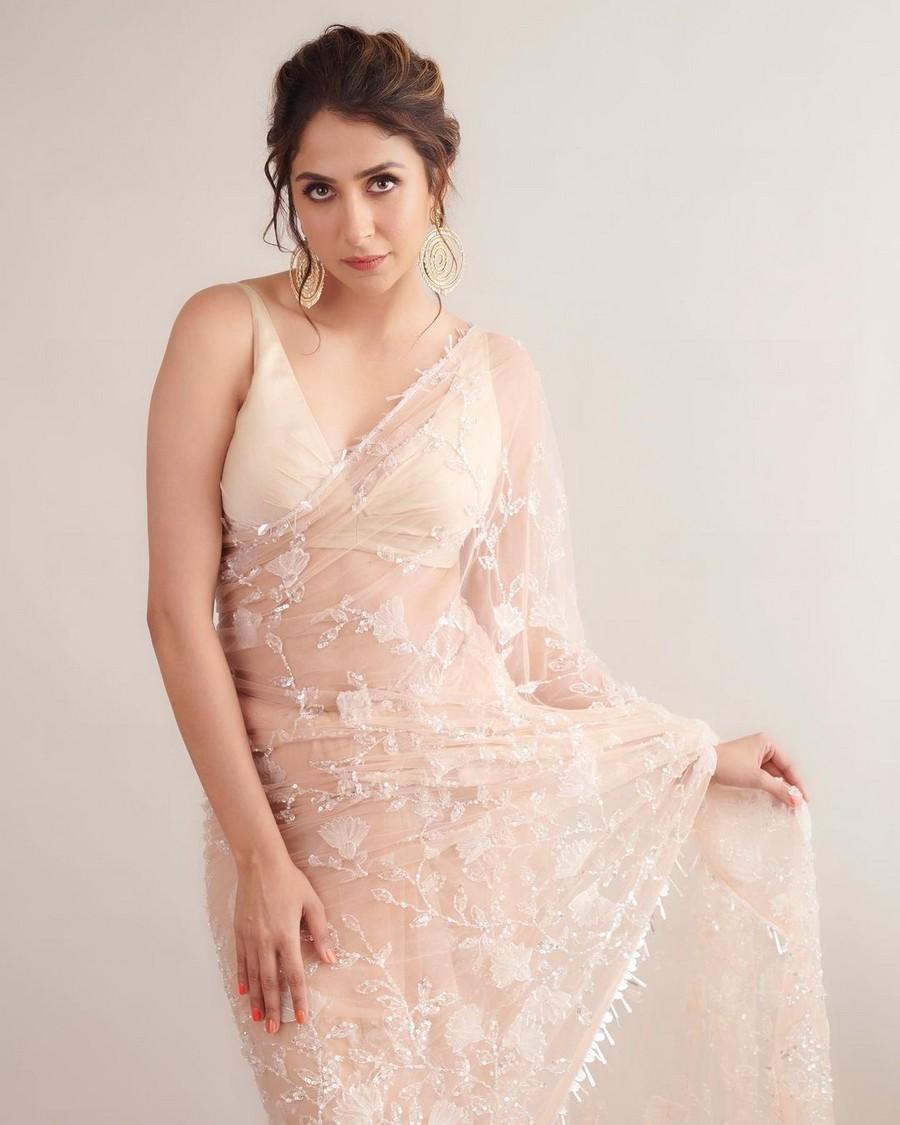 Malvika Raaj 3