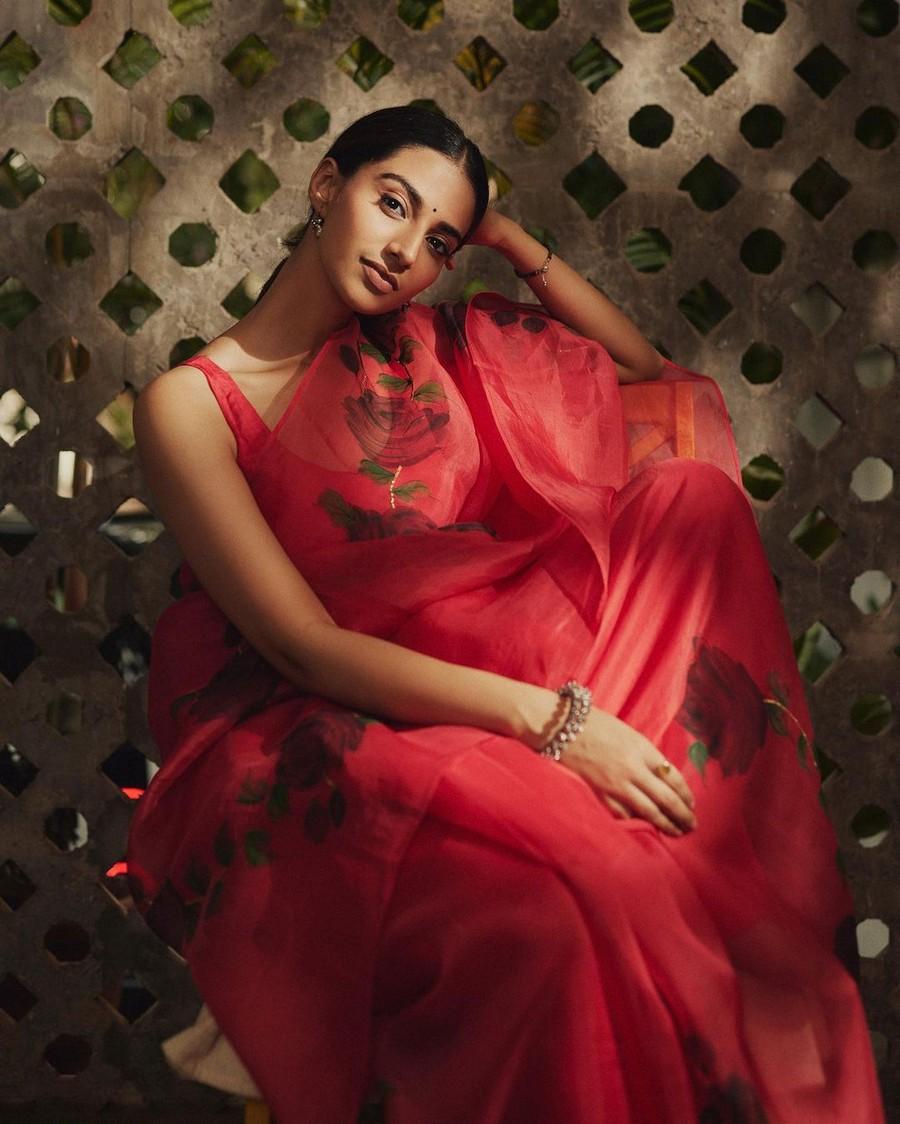Meenakshii Chaudhary 10