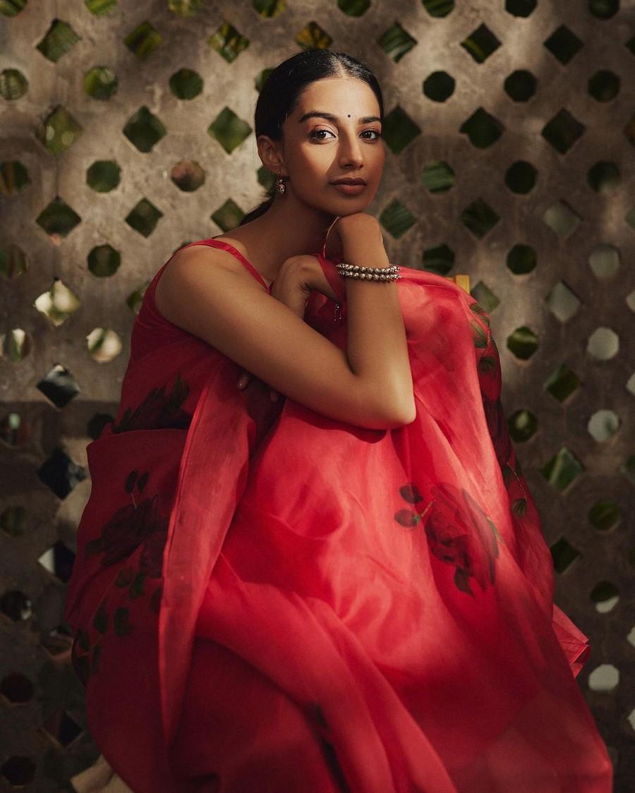 Meenakshii Chaudhary 11
