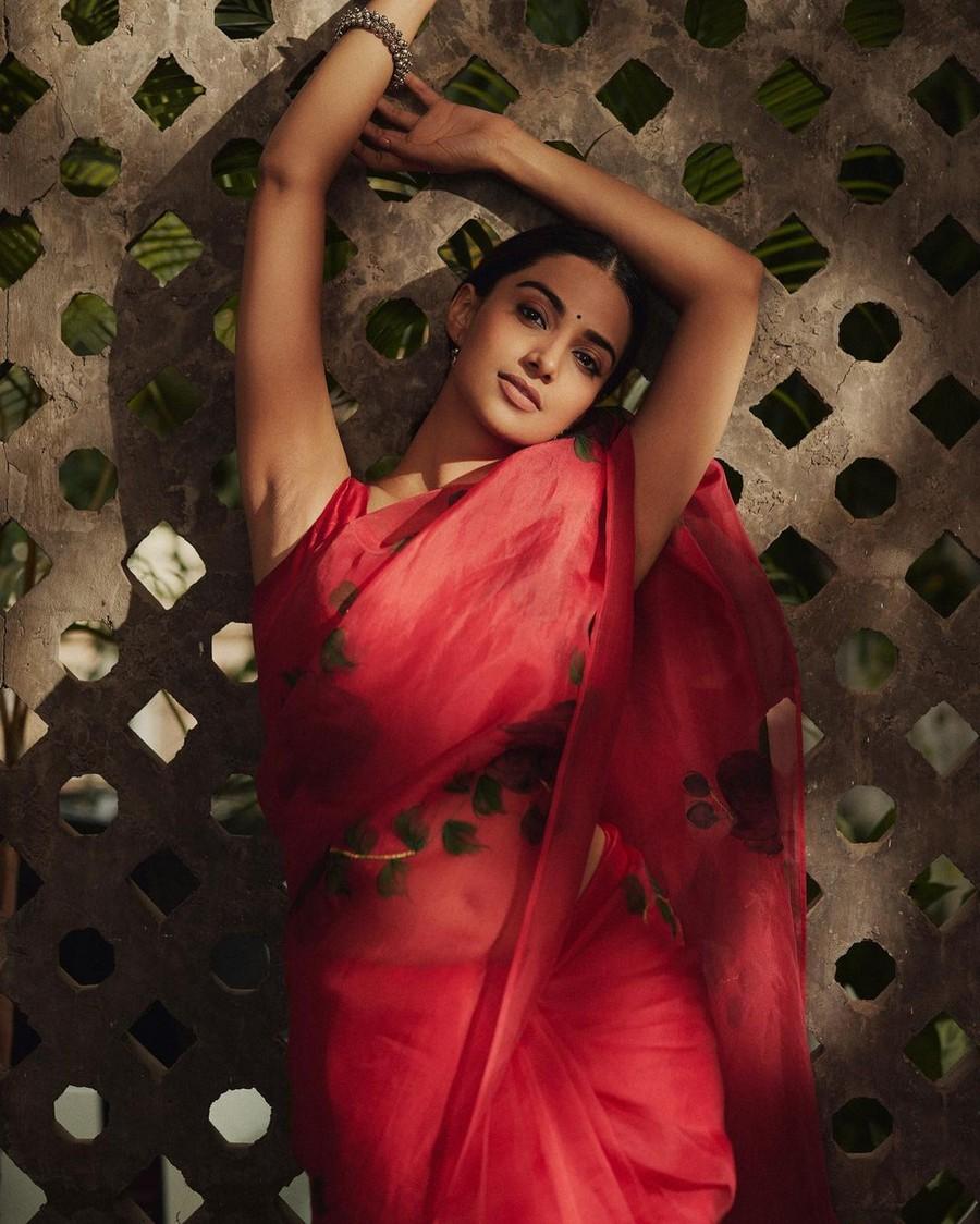 Meenakshii Chaudhary 12