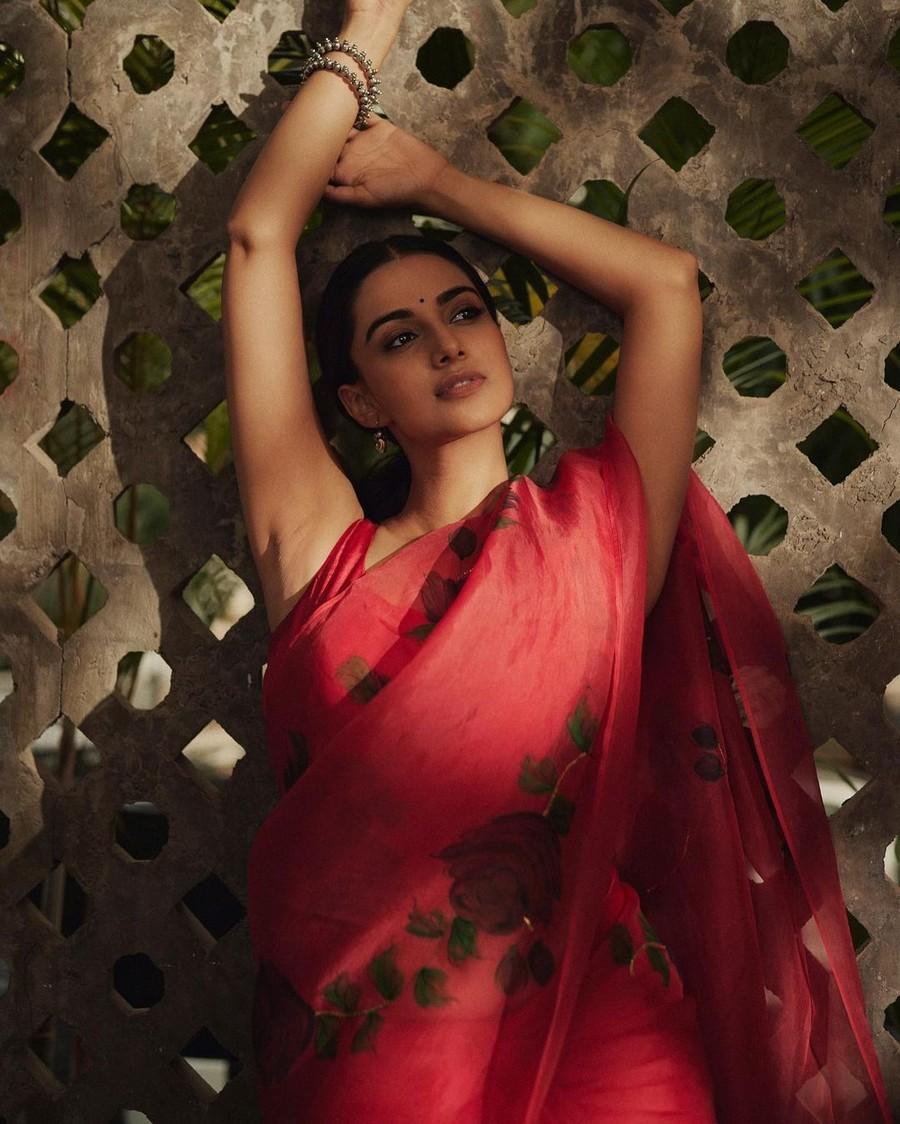 Meenakshii Chaudhary 13