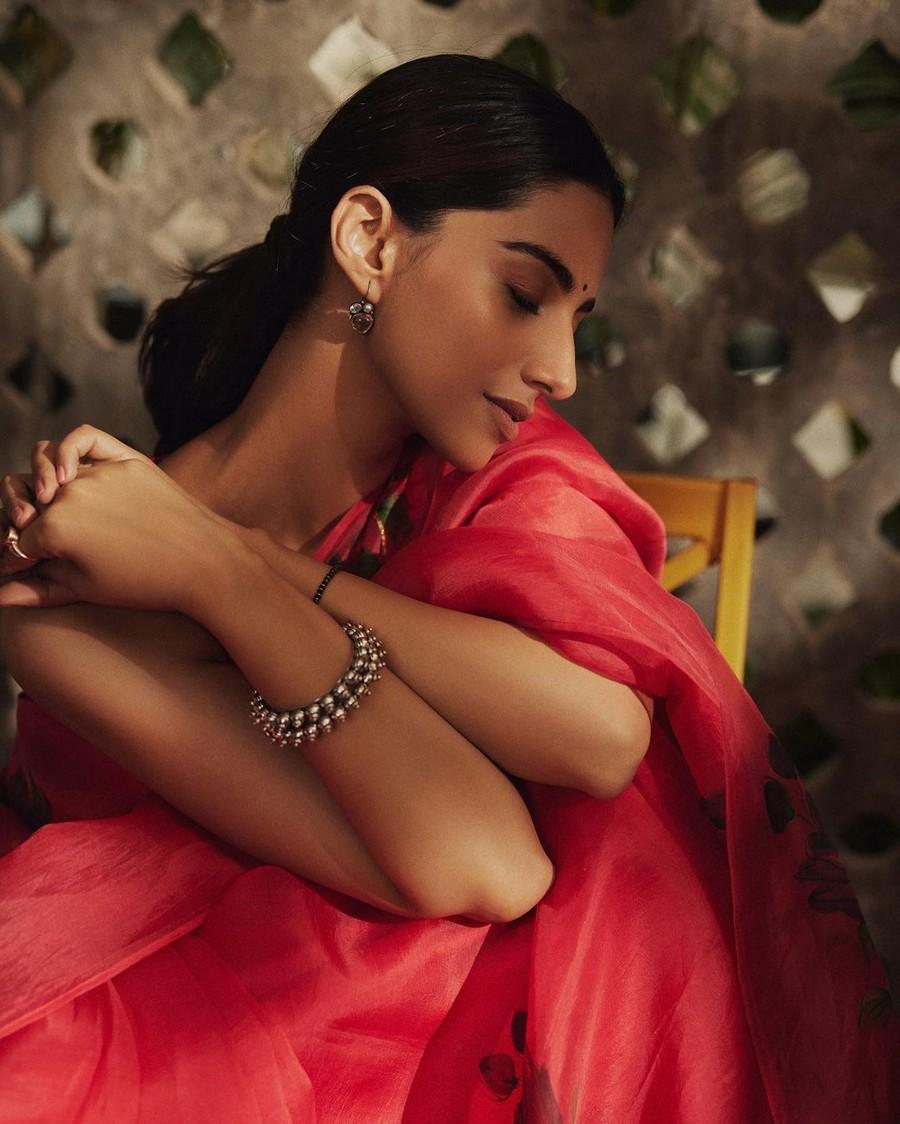 Meenakshii Chaudhary 15