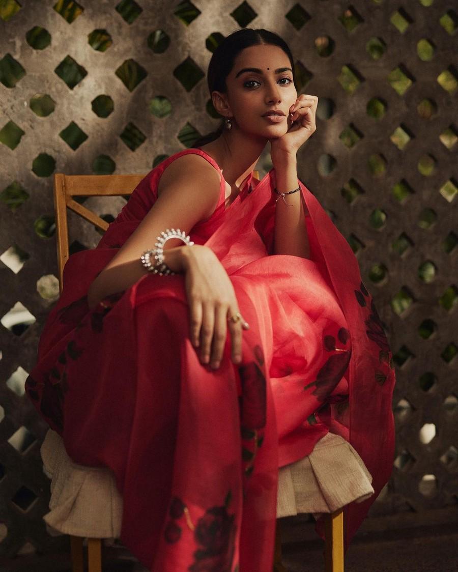 Meenakshii Chaudhary 8