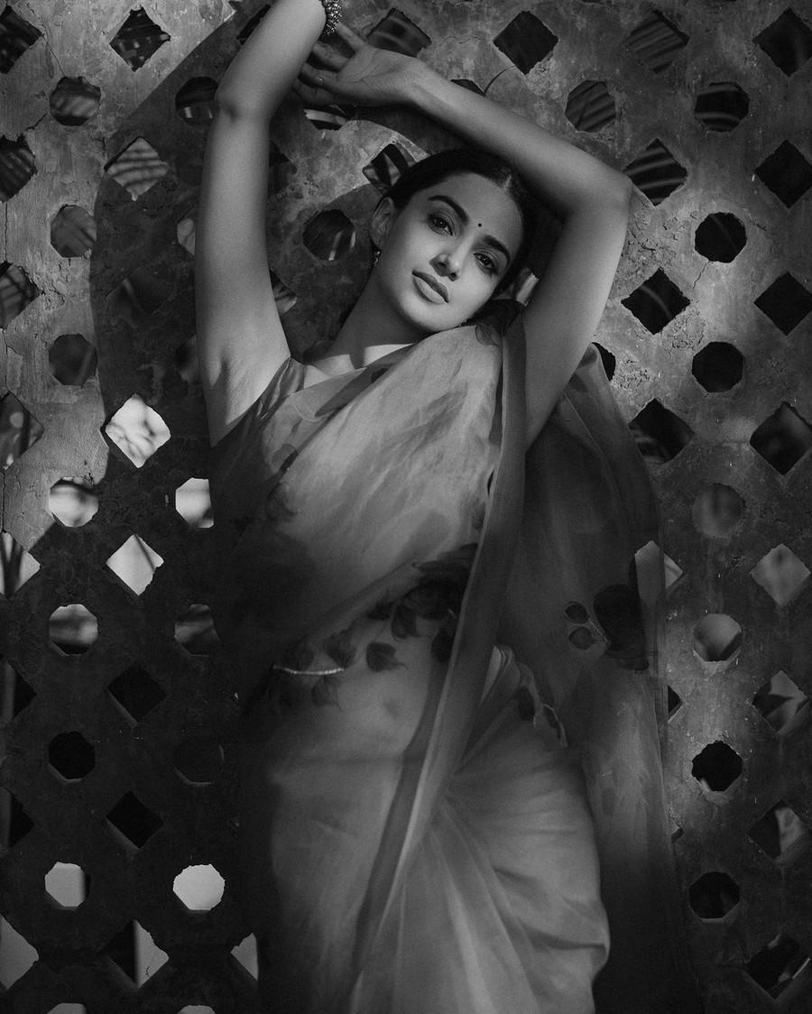 Meenakshii Chaudhary 9