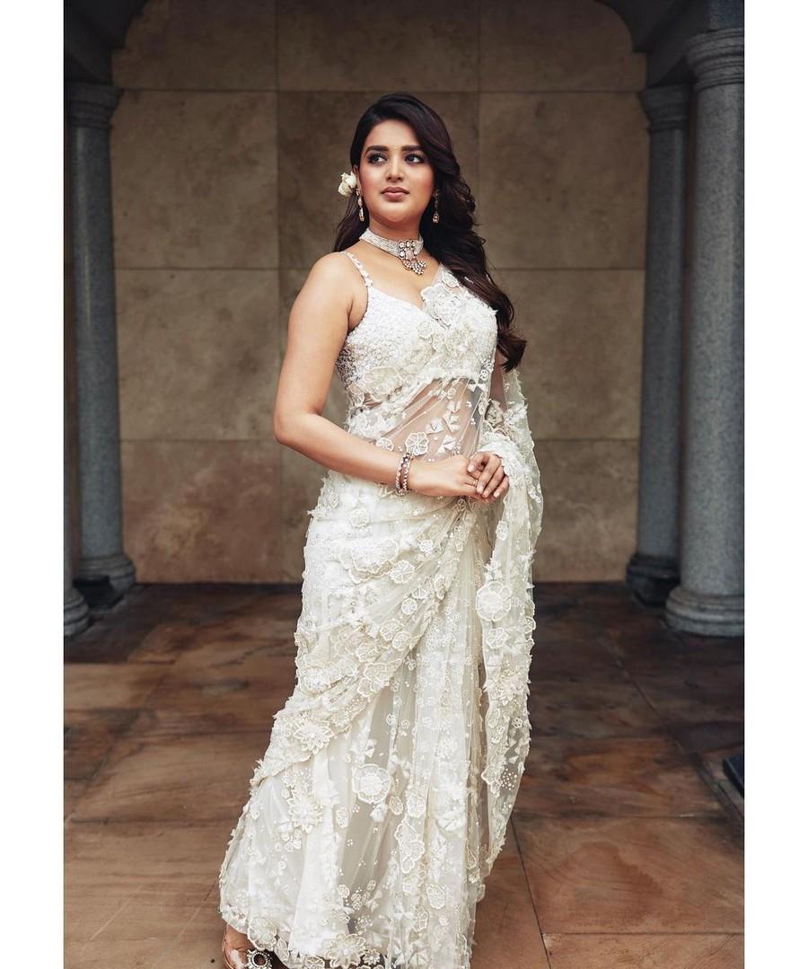 Nidhhi Agerwal 5