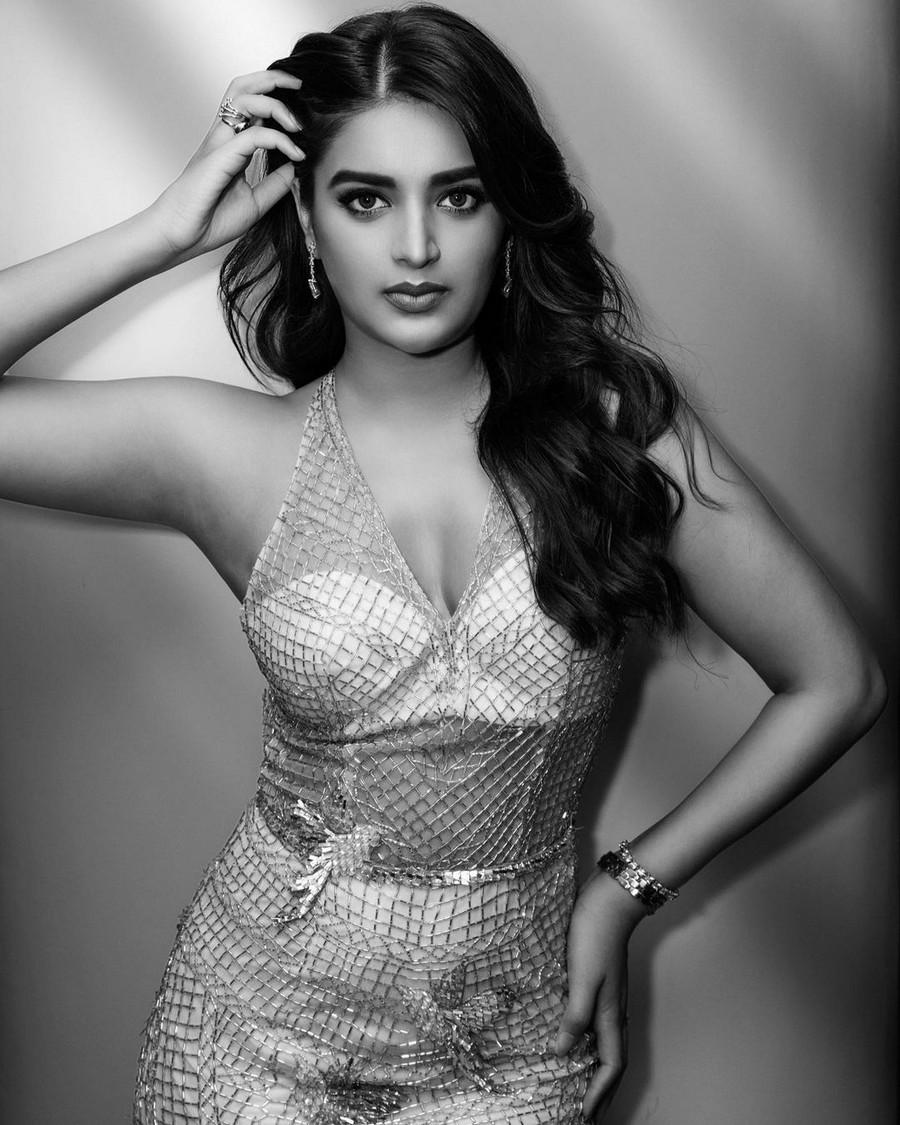 Nidhhi Agerwal 10