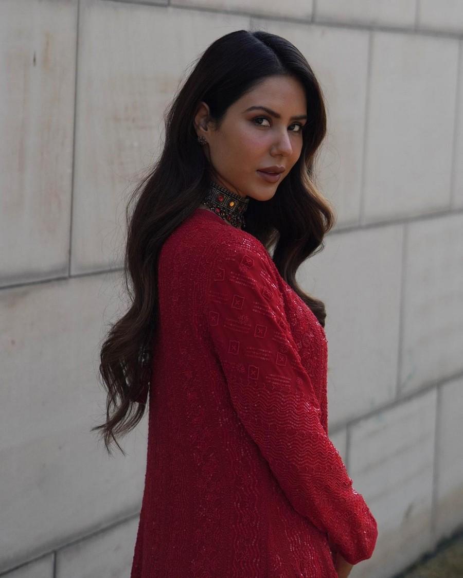 Sonam Bajwa 3