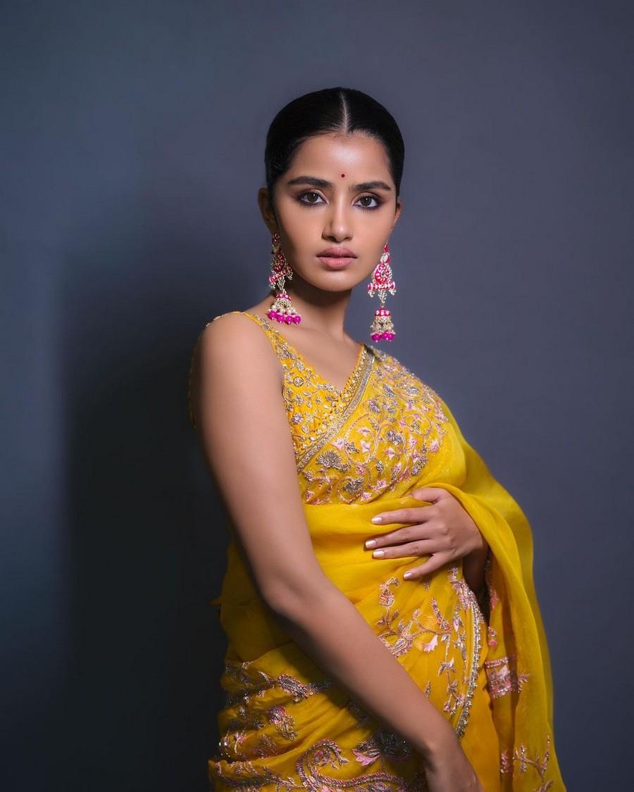 Anupama Parameswaran 8