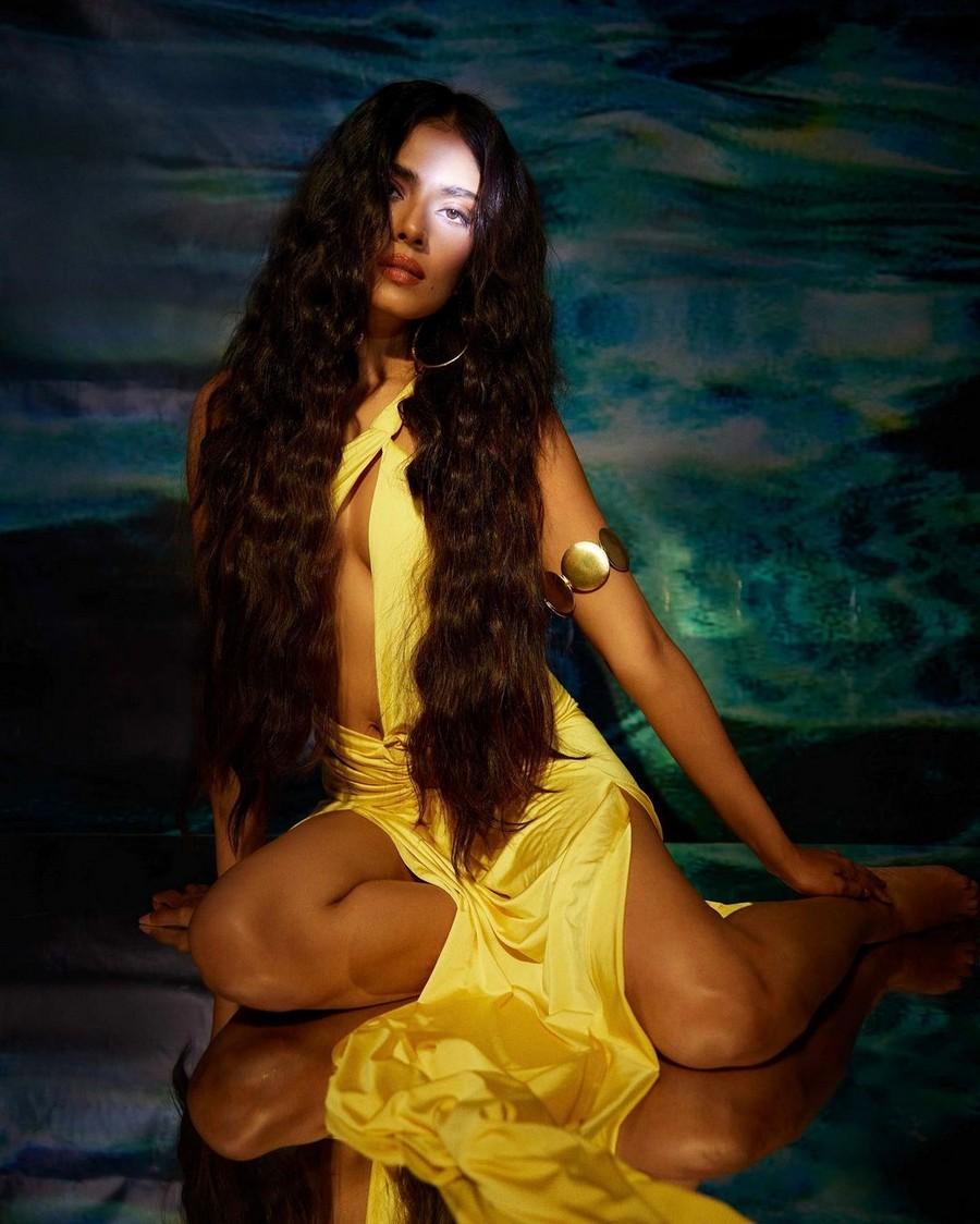 Malavika Mohanan 4