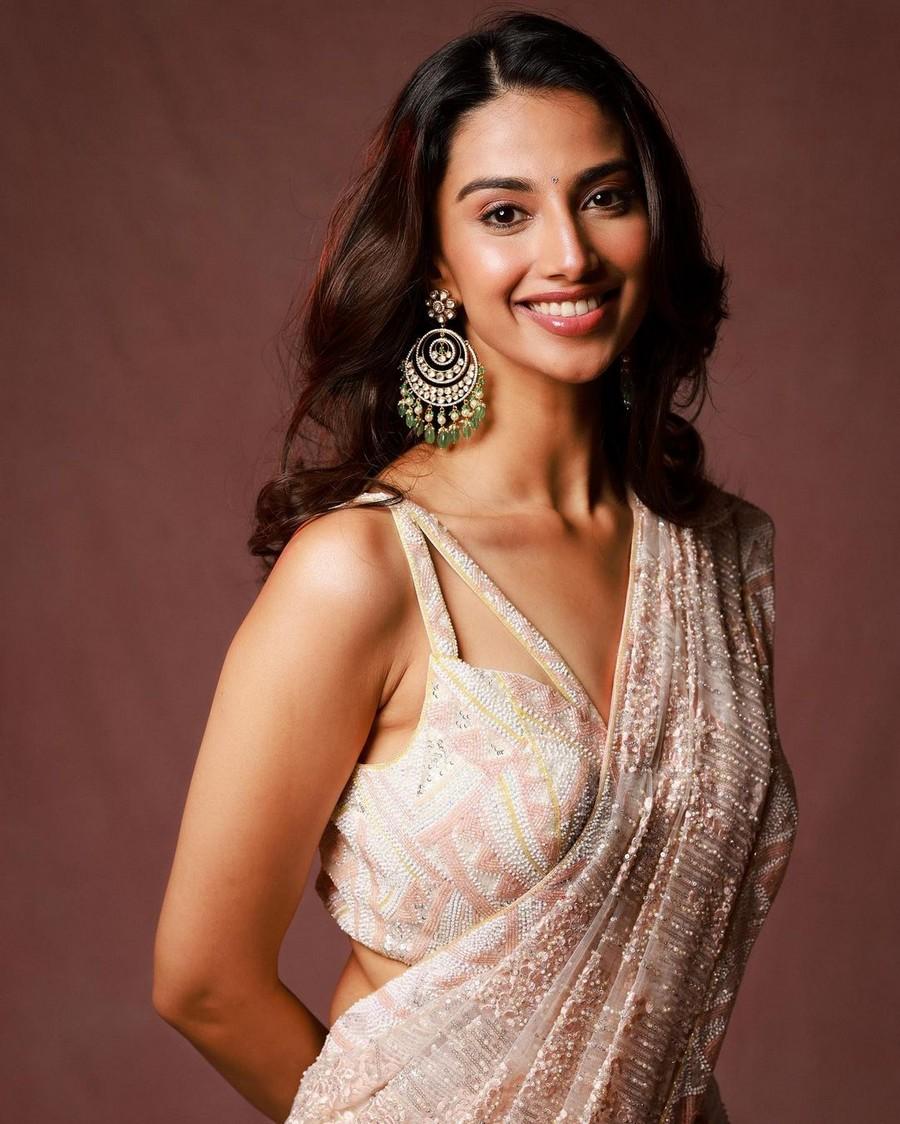 Meenakshii Chaudhary 12