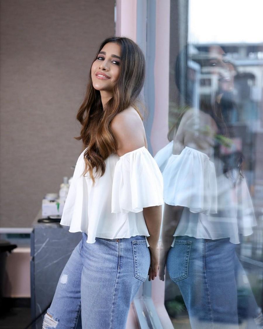 Nabha Natesh 11