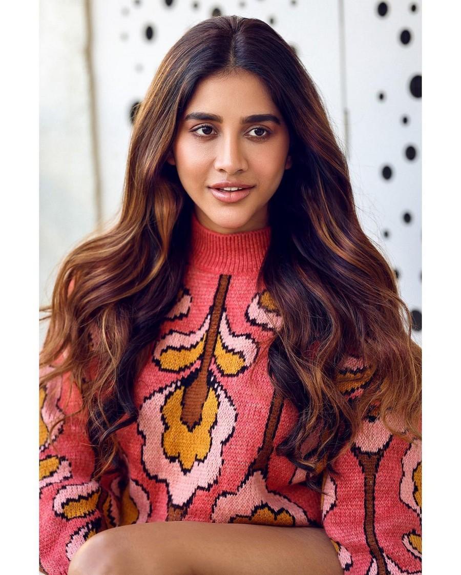 Nabha Natesh 4
