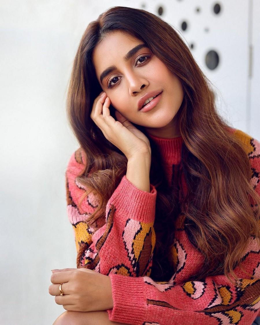 Nabha Natesh 5
