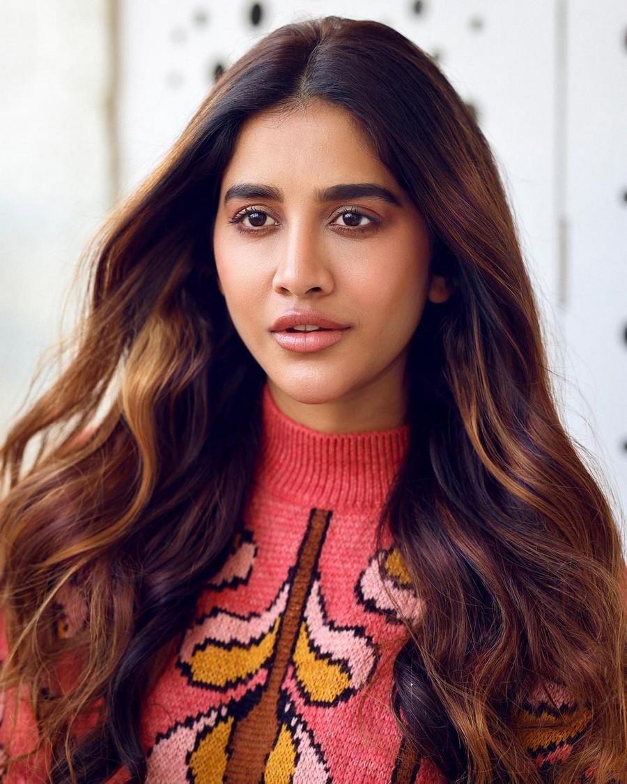 Nabha Natesh 7