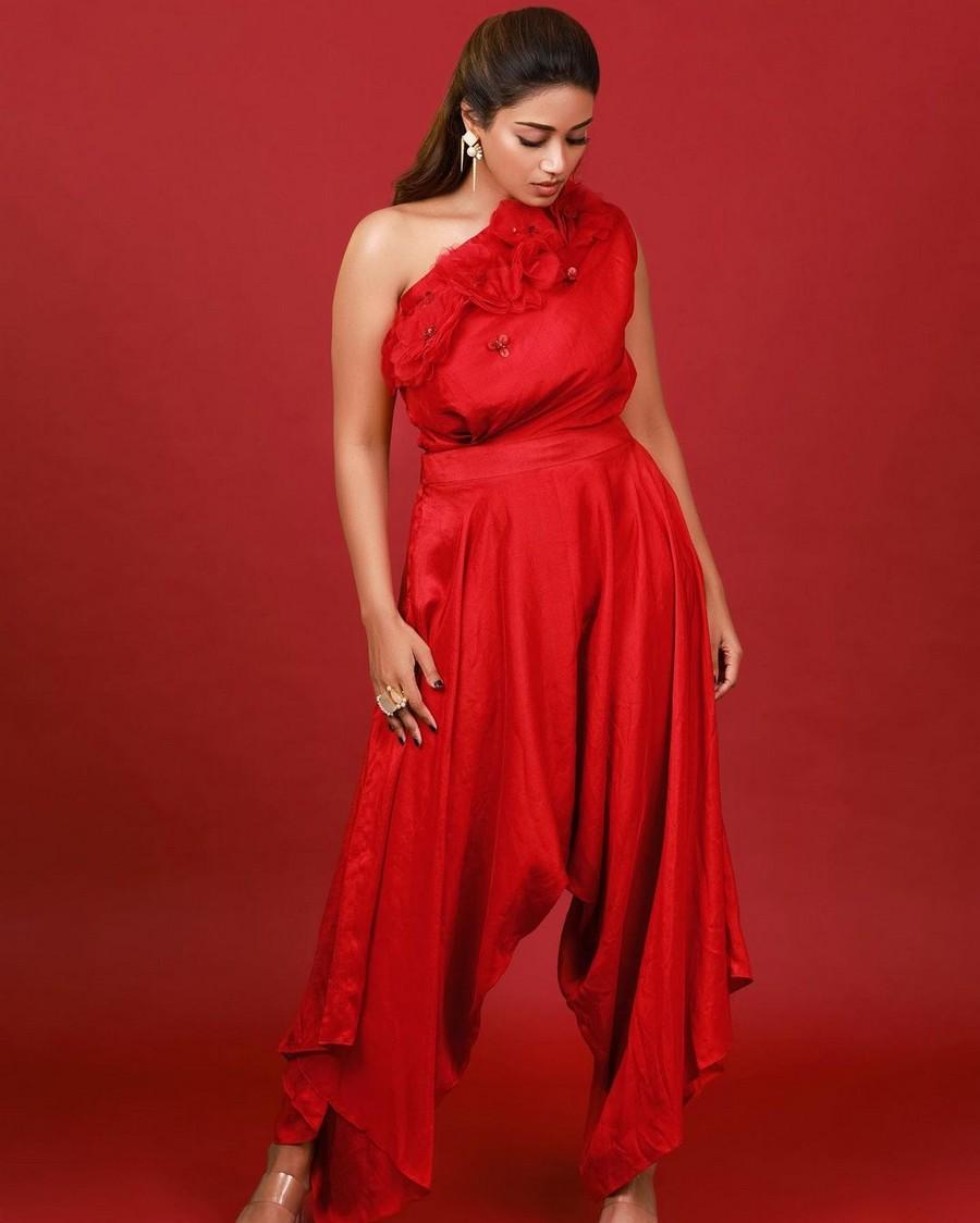 Nivetha Pethuraj 11