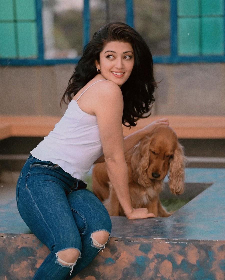 Pranita Subhash 3