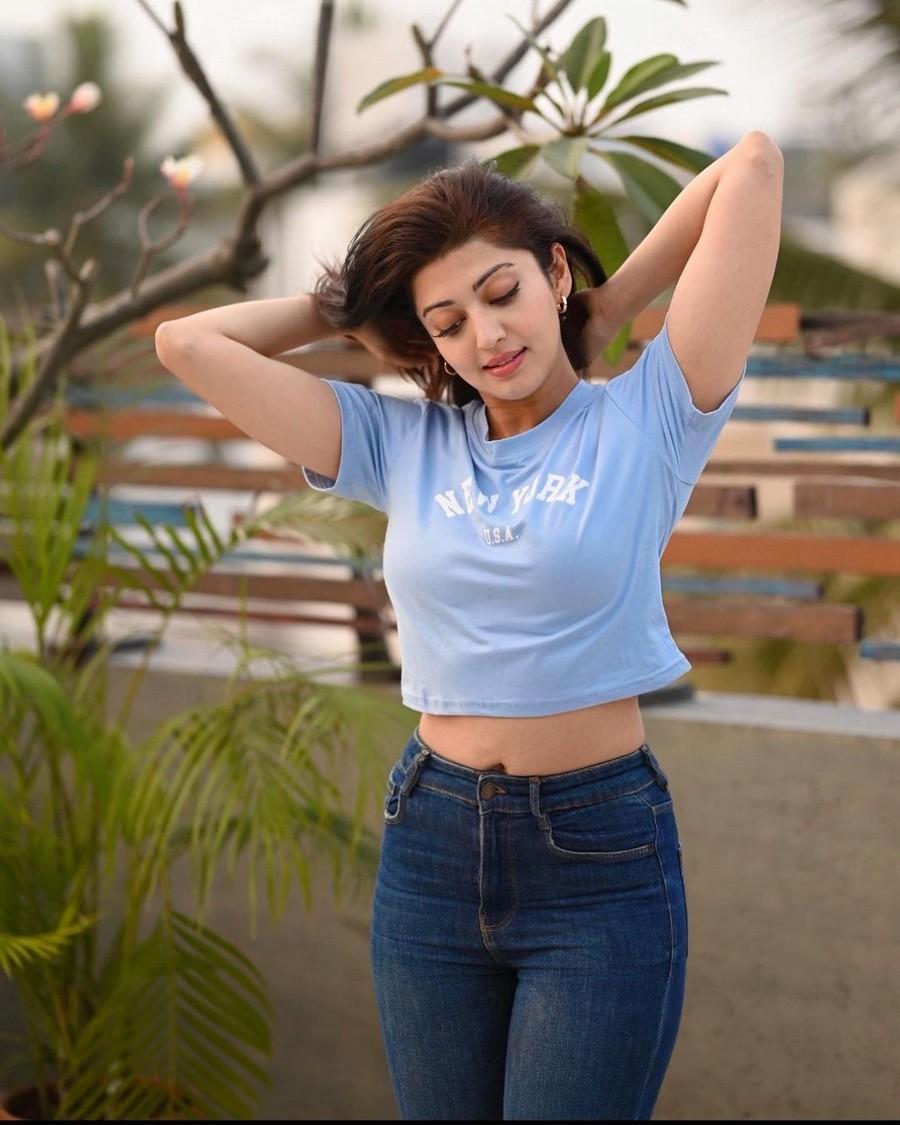 Pranita Subhash 7