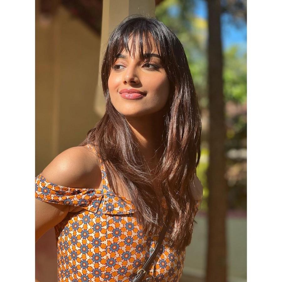 Meenakshii Chaudhary 4