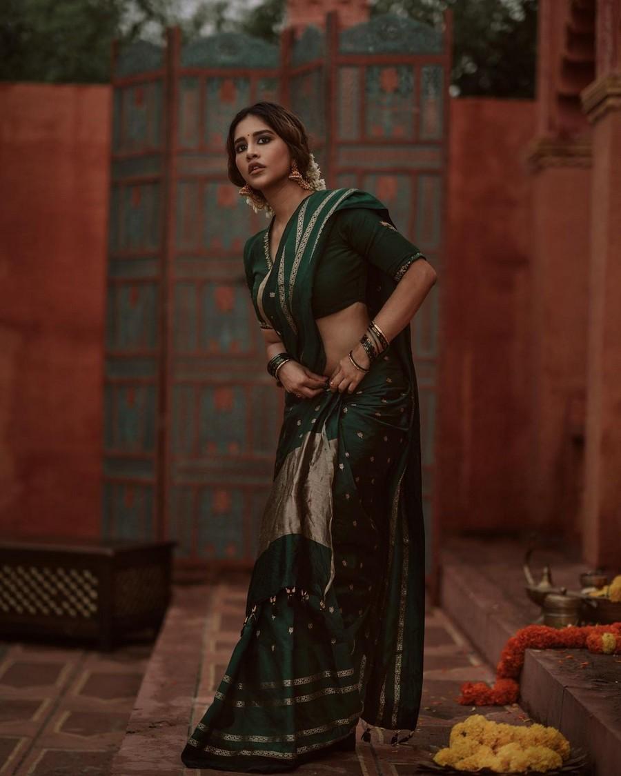 Nabha Natesh 2