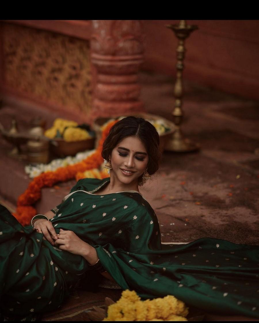 Nabha Natesh 3