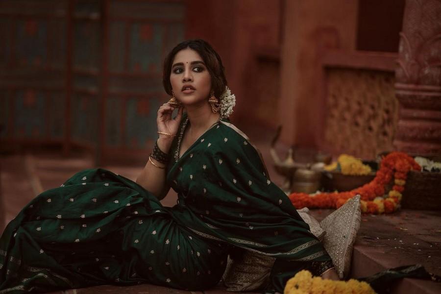 Nabha Natesh 5