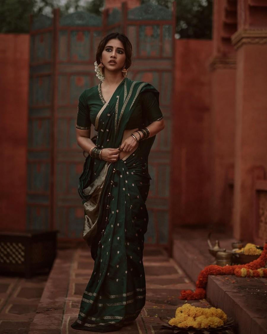 Nabha Natesh 7