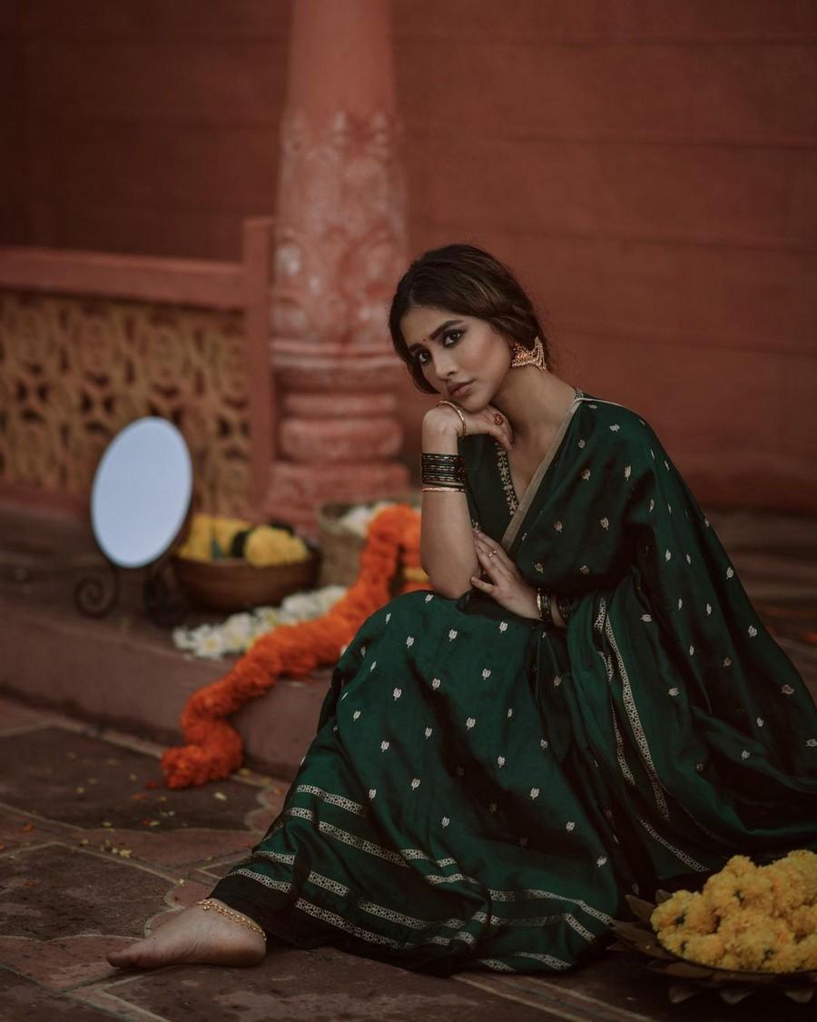 Nabha Natesh 8