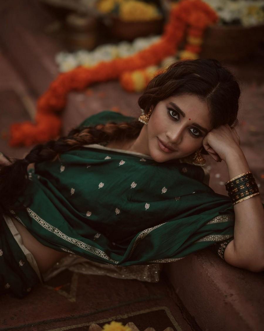 Nabha Natesh 9
