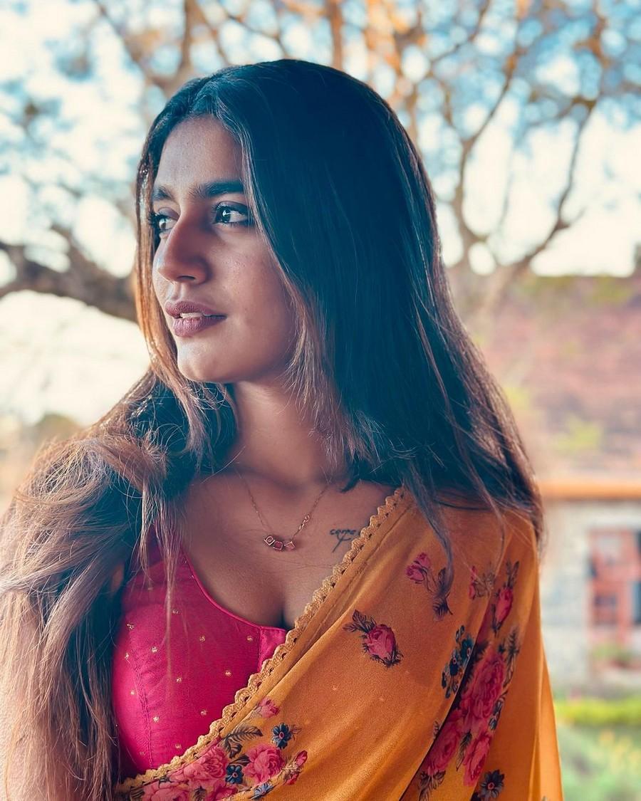Priya Prakash Varrier 2