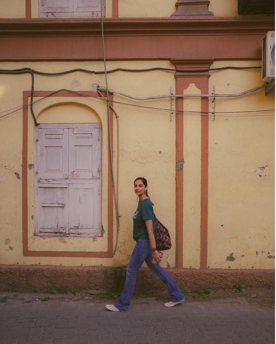 Meenakshii Chaudhary 17