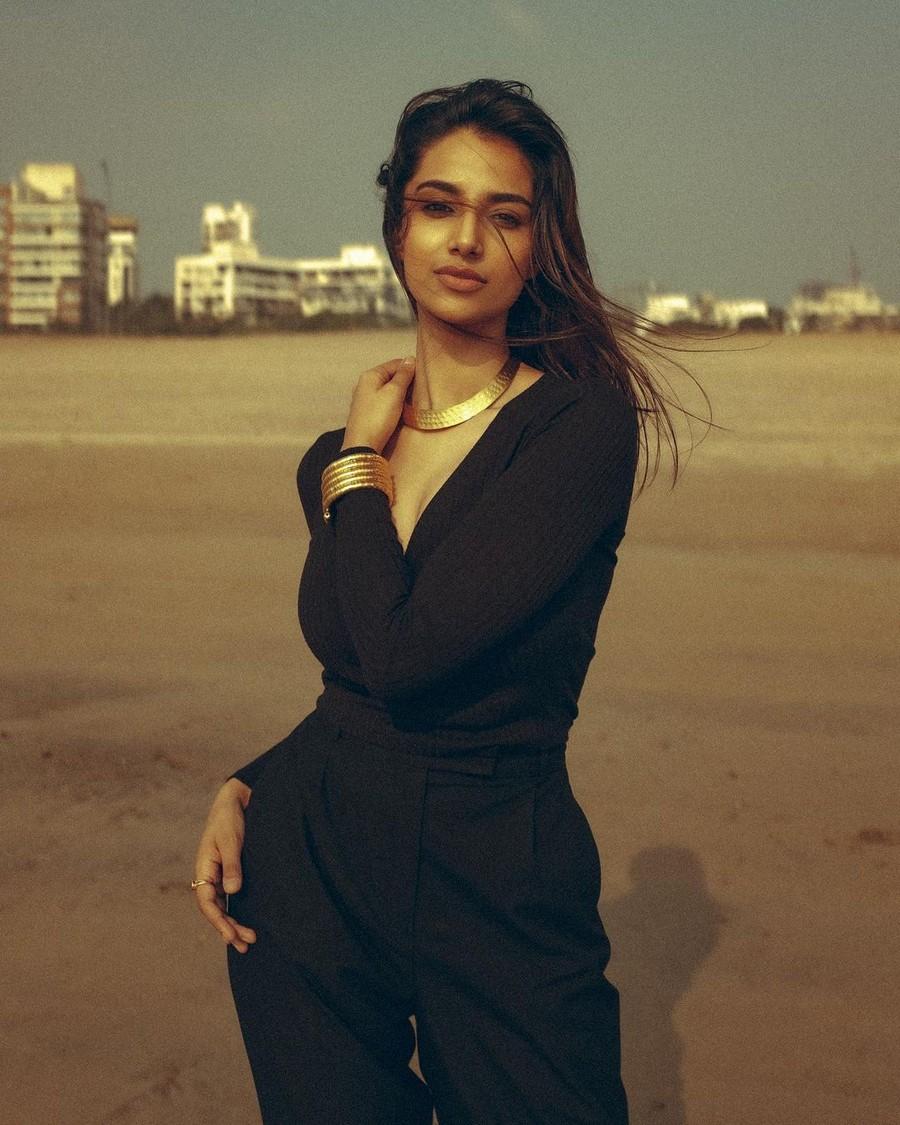 Meenakshii Chaudhary 4