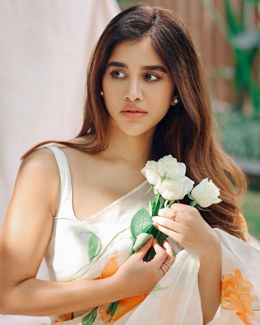 Nabha Natesh