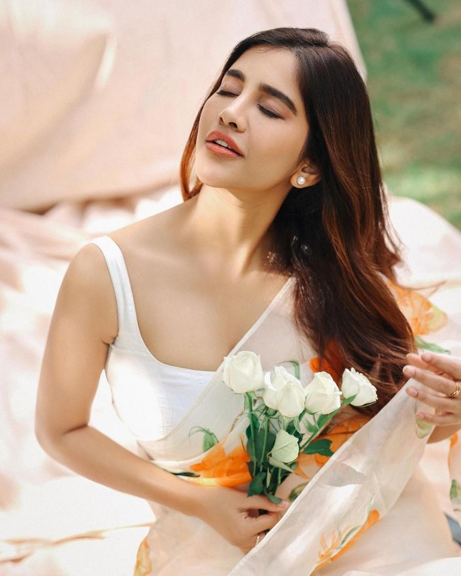 Nabha Natesh 2